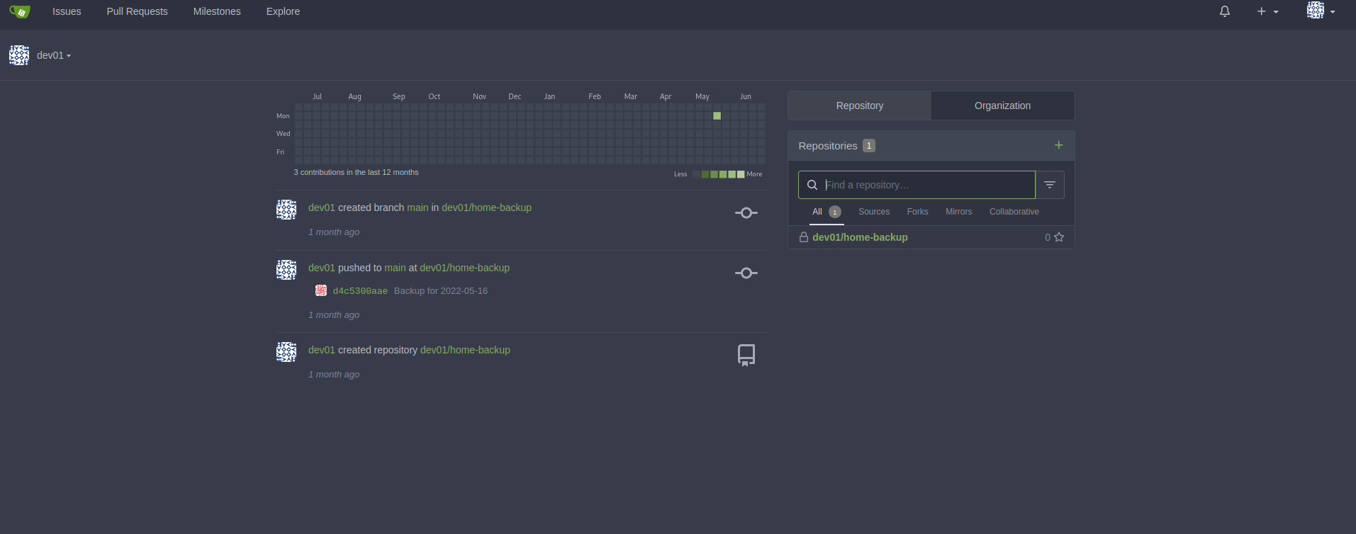 logged into gitea as dev01